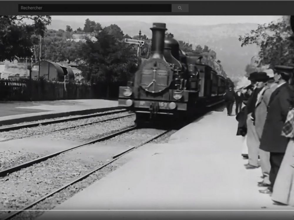 arriver du train pour que les voyageur voyage
